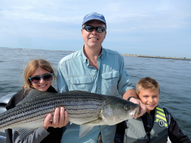 Merrimack River striper caught by Iain Brown